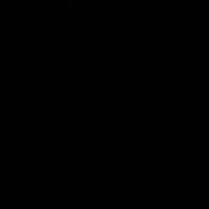 Meet your Posher, Bailey